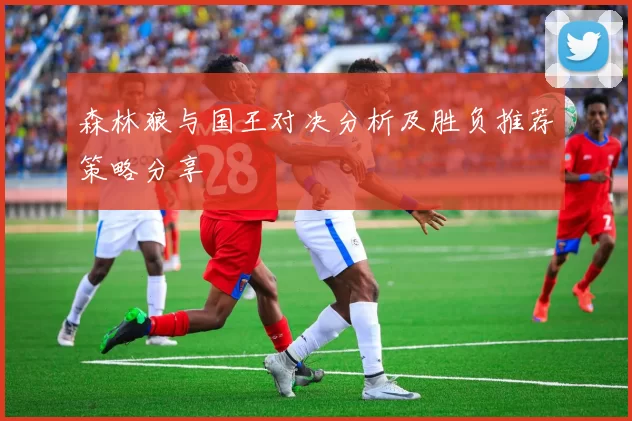 森林狼与国王对决分析及胜负推荐策略分享